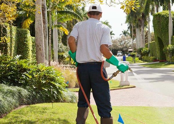 About Mabelvale AR Pest Control Pros